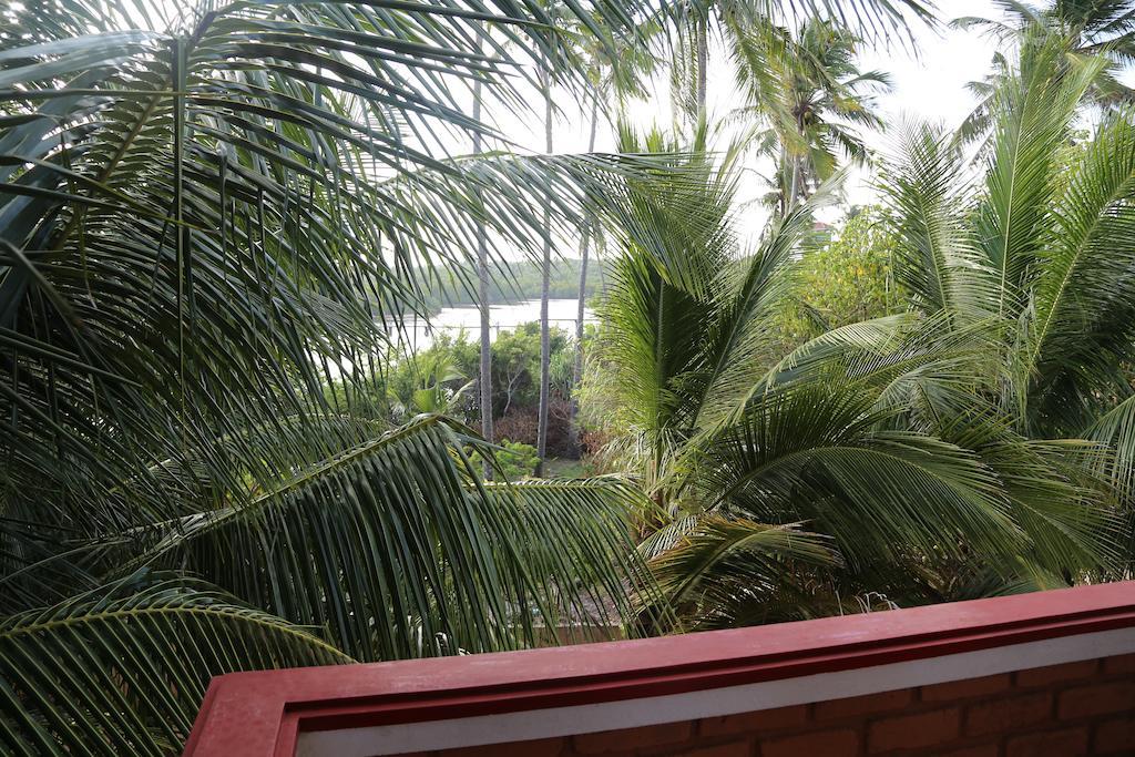 Lonely Tangalle